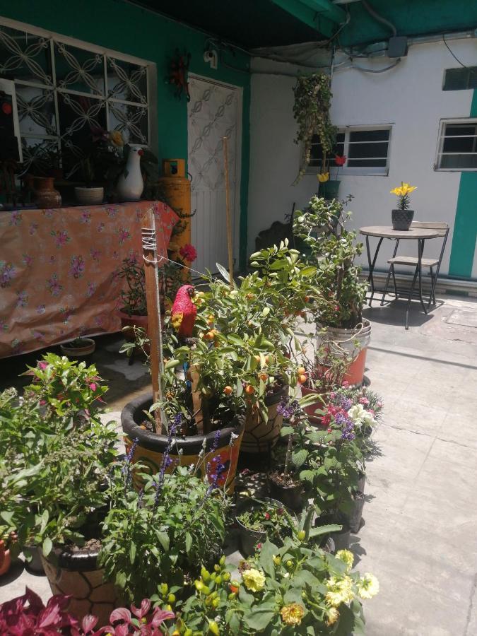 Departamento Cercano Al Aeropuerto T2, A 2 Calles Mexico City Luaran gambar